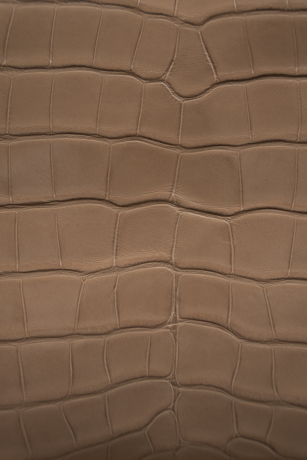 Сумка кросс-боди из глянцевого крокодила 